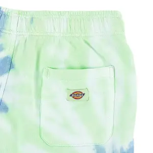 Short Dickies Seatac image-4
