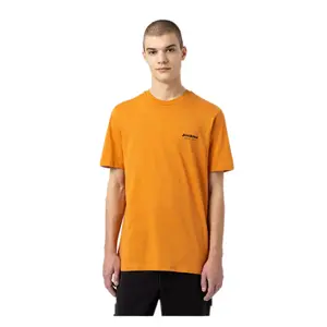 Short sleeve T-shirt Dickies Artondale Box image-0