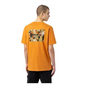 Short sleeve T-shirt Dickies Artondale Box image-1