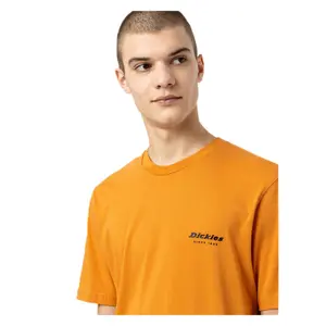 Short sleeve T-shirt Dickies Artondale Box image-2