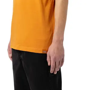 Short sleeve T-shirt Dickies Artondale Box image-3