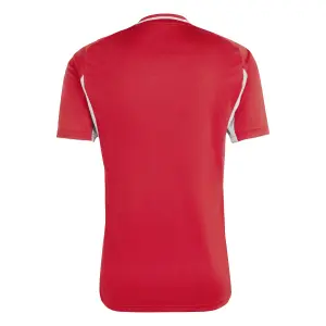 Maillot adidas Tiro 25 Competition image-2