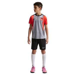 Maillot enfant Chelsea Academy Pro 2025/26