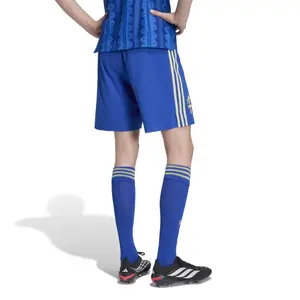 Shorts Externo Autêntico Suécia Coupe du Monde 2026 image-4