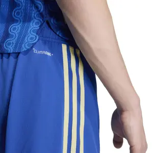 Shorts Externo Autêntico Suécia Coupe du Monde 2026 image-6