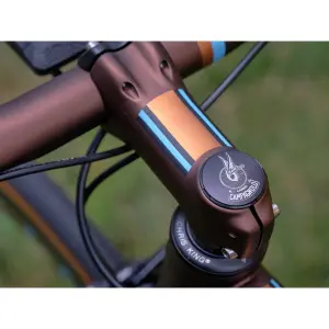 Steering fork cap Campagnolo Logo Brevet International image-4