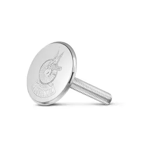 Steering fork cap Campagnolo Logo Roue Ailee