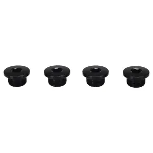 Βίδα πλακών Campagnolo Ekar (x4) image-0