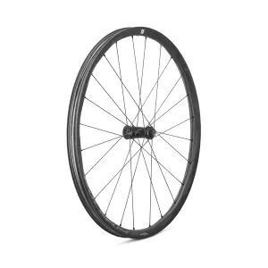 Πρόσθιος τροχός Campagnolo AFS Boost HH15-110 2WF image-0