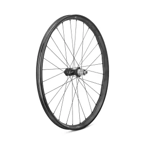 Πίσω τροχός Campagnolo AFS Boost HH12-148 image-0