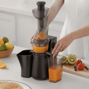 Entsafter vertical H.Koenig Lower Rotation Vitamin + image-6