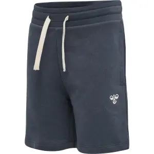 Pantalones cortos para niños Hummel hmlbassim image-2