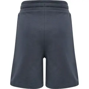 Pantalones cortos para niños Hummel hmlbassim image-1