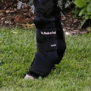 Botas estáveis em neoprene Back on Track royal image-1