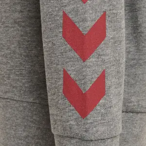 Sudadera con capucha para niños Hummel Hmlkess Noos image-4