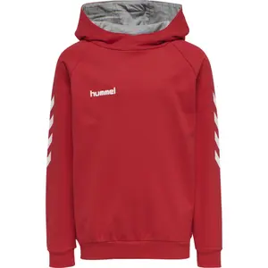 Sudadera con capucha infantil Hummel hmlGO cotton image-1