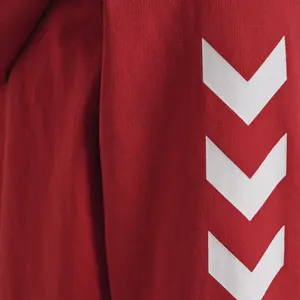 Sudadera con capucha infantil Hummel hmlGO cotton image-5