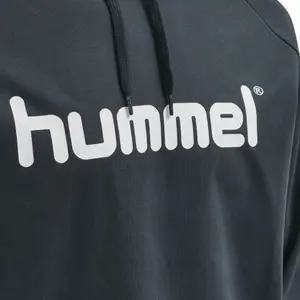 Sweat à capuche Hummel Hmlgo Logo image-3