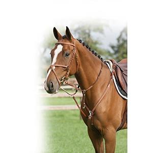 Collier de chasse luxe avec surpiqûres décoratives QHP image-1