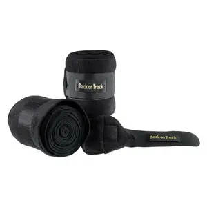 Strisce Back on Track image-0