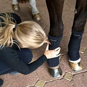 Strisce Back on Track image-2