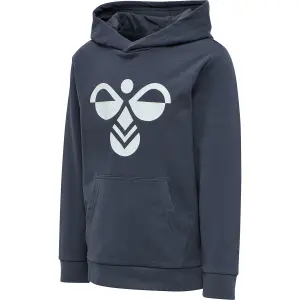 Sudadera con capucha para niños Hummel hmlcuatro image-2