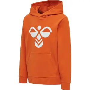 Sudadera con capucha para niños Hummel hmlcuatro image-2