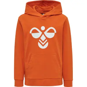Sudadera con capucha para niños Hummel hmlcuatro image-0