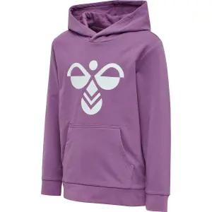 Sudadera con capucha para niños Hummel hmlcuatro image-2