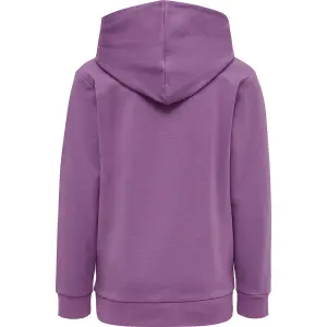 Sudadera con capucha para niños Hummel hmlcuatro image-1