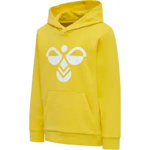 Sudadera con capucha para niños Hummel hmlcuatro image-2