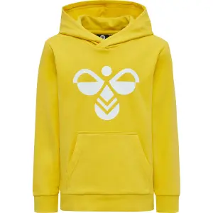 Sudadera con capucha para niños Hummel hmlcuatro image-0