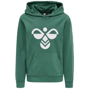 Sudadera con capucha para niños Hummel hmlcuatro image-1