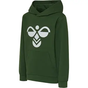Sudadera con capucha para niños Hummel hmlcuatro image-0