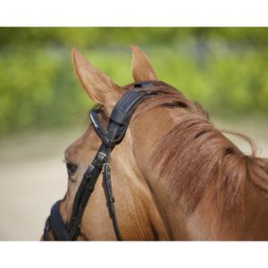 Protetor de pescoço Back on Track velcro image-2