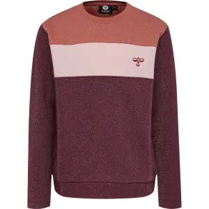 T-shirt long sleeves kid Hummel hmlsofie image-2