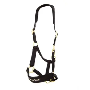 cavezza Werano Back on Track