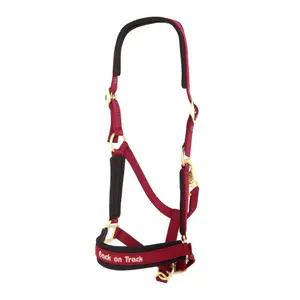 cavezza Werano Back on Track image-0