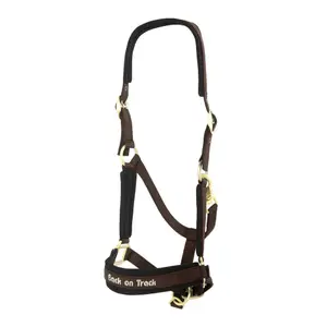 Werano-Halfter Back on Track image-0