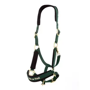 cavezza Werano Back on Track