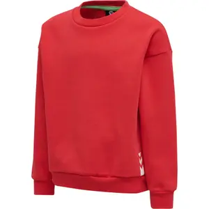 Sweatshirt child Hummel hmlALFRED image-0
