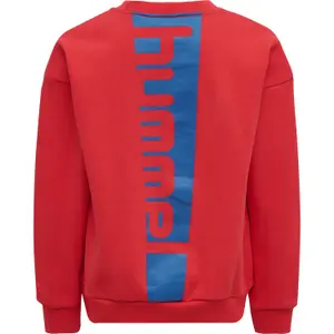 Sweatshirt child Hummel hmlALFRED image-2