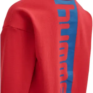 Sweatshirt child Hummel hmlALFRED image-3