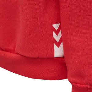 Sweatshirt child Hummel hmlALFRED image-4