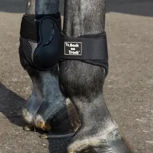 Junge Fesselgelenkschoner Back on Track image-2