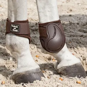 Jonge vetlokbeschermers Back on Track image-0