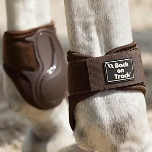 Jonge vetlokbeschermers Back on Track image-1