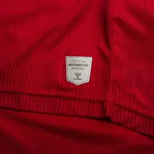 Maillot Domicile enfant manches longues Danemark 2020/21 image-5