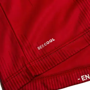 Maillot Domicile enfant manches longues Danemark 2020/21 image-2
