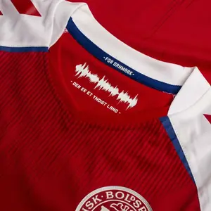 Maillot Domicile enfant manches longues Danemark 2020/21 image-4